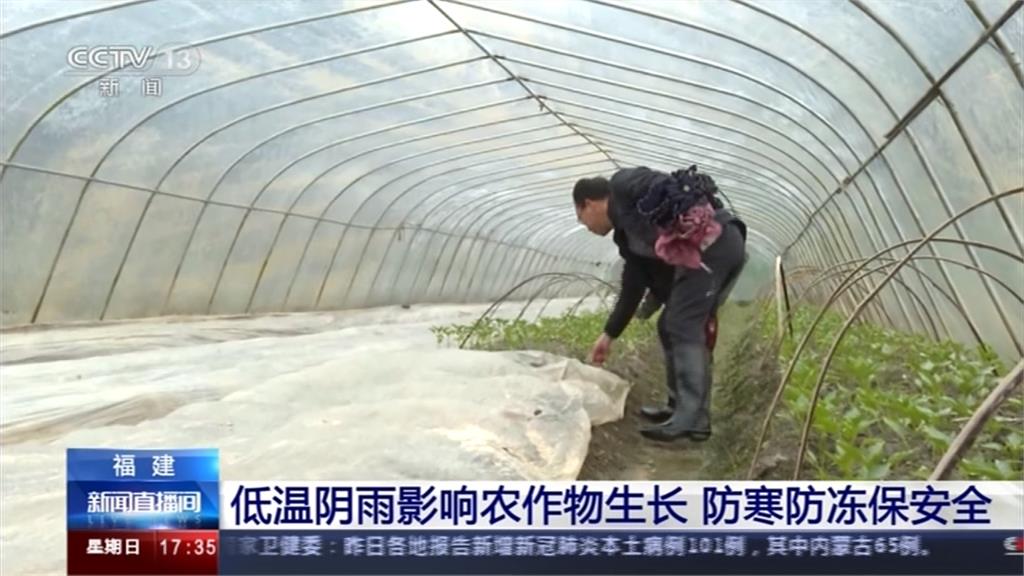 冷空氣來襲氣溫急凍!中國福建迎虎年初雪