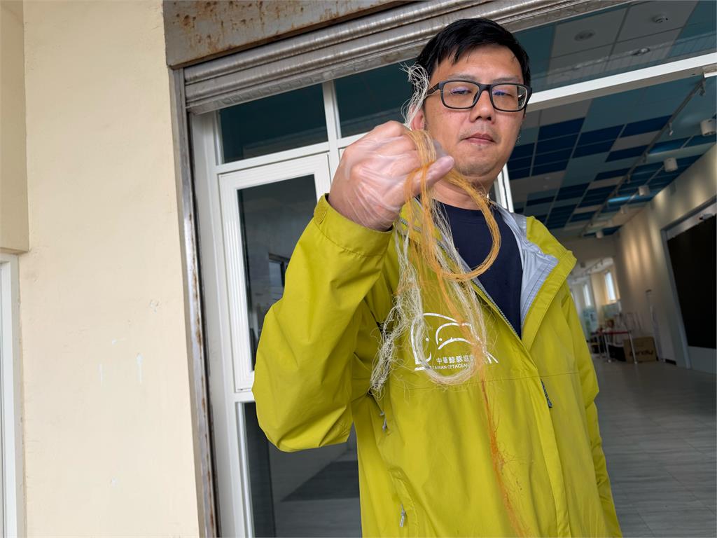 「近３百公斤保育類革龜」誤食漁網　經手術搶救仍不治