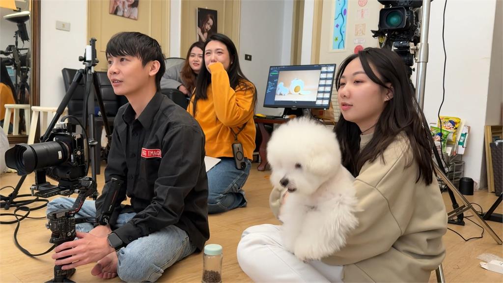 比熊犬兄弟廣告接不完! 生活堪比大明星美美上鏡要先梳妝打扮