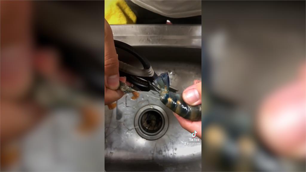 整顆蝦囊輕鬆挖出!男快手處理泰國蝦 「40秒一隻」剪刀精準處理