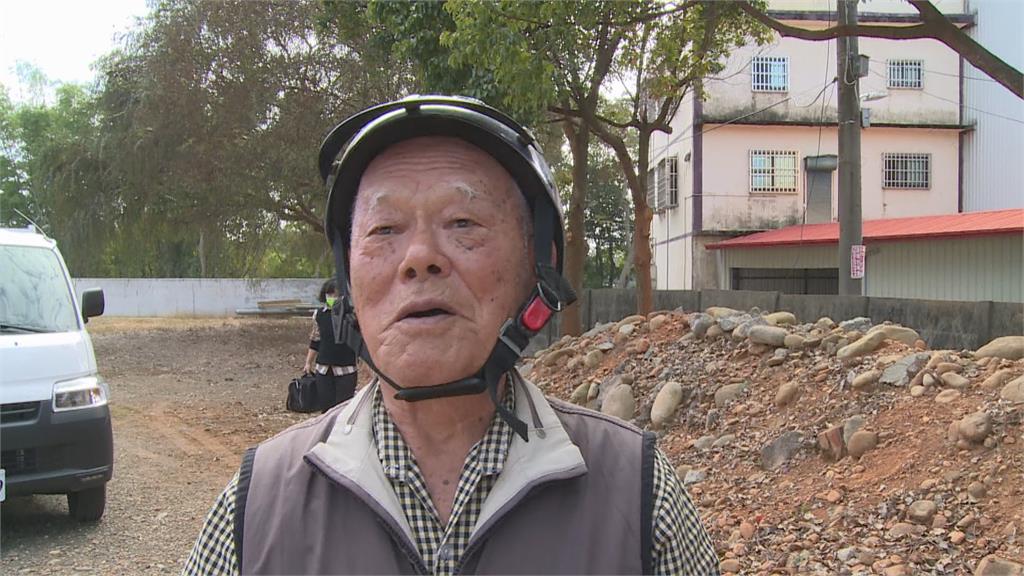 當時的我害怕極了...萌貓遭3狼犬圍逼 爬樹躲2晚沒吃沒睡