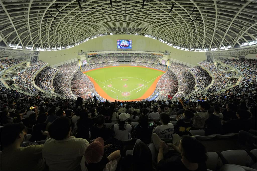 12強賽/台灣隊前進東蛋!「一日球迷」全進化成1身份:明年進場支持