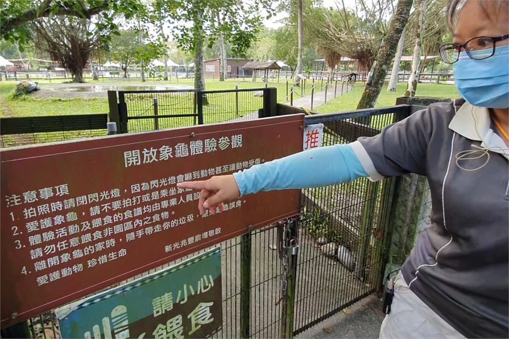 快新聞/遊客「騎象龜」嘻笑比YA影片曝光! 農場嚴厲譴責虐待動物