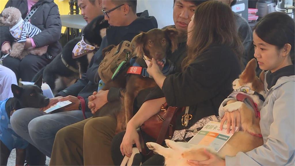 燦坤3C家電「風城耶誕 燦亮幸福竹光」 耶誕市集熱鬧登場