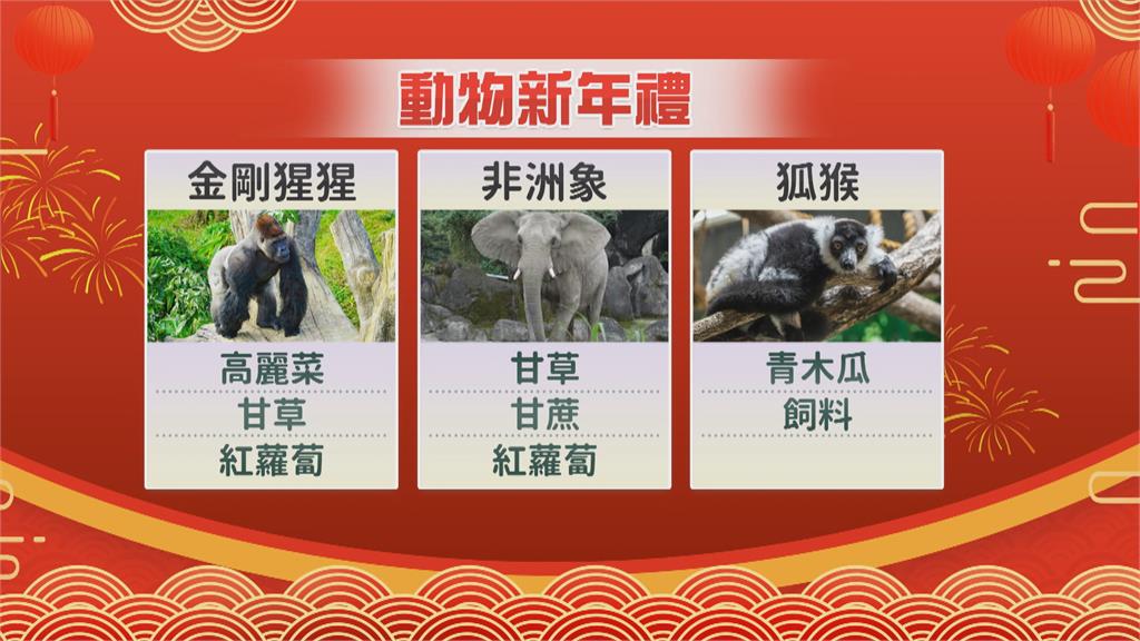 歡喜迎接2022！ 動物園送金剛猩猩.大象新年賀禮