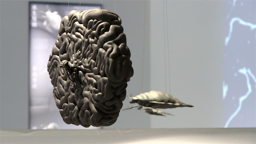 「酷共生特展」北師美術館登場 不同領域藝術傳達共生關係