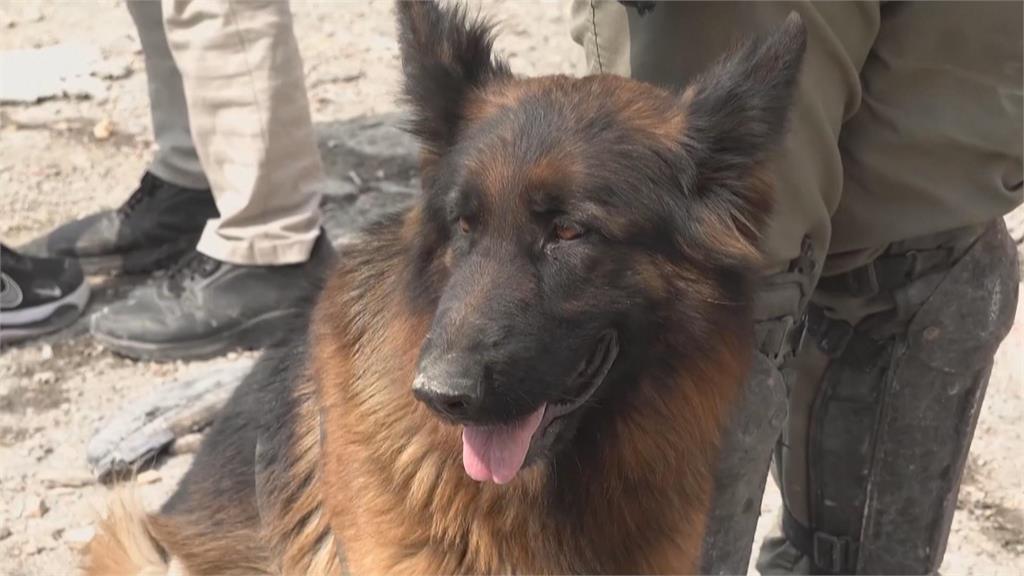 伊朗最高國安首長死亡　川普：要花10年才能修復破壞