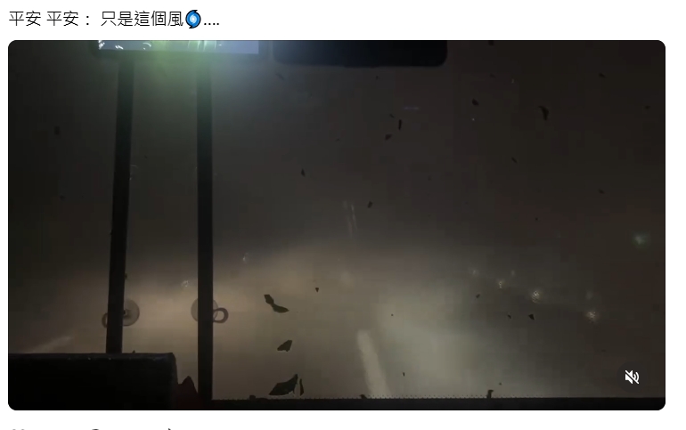 颱風夜統一獅大巴「國道破風」 陳傑憲自嘲PO划龍舟影片