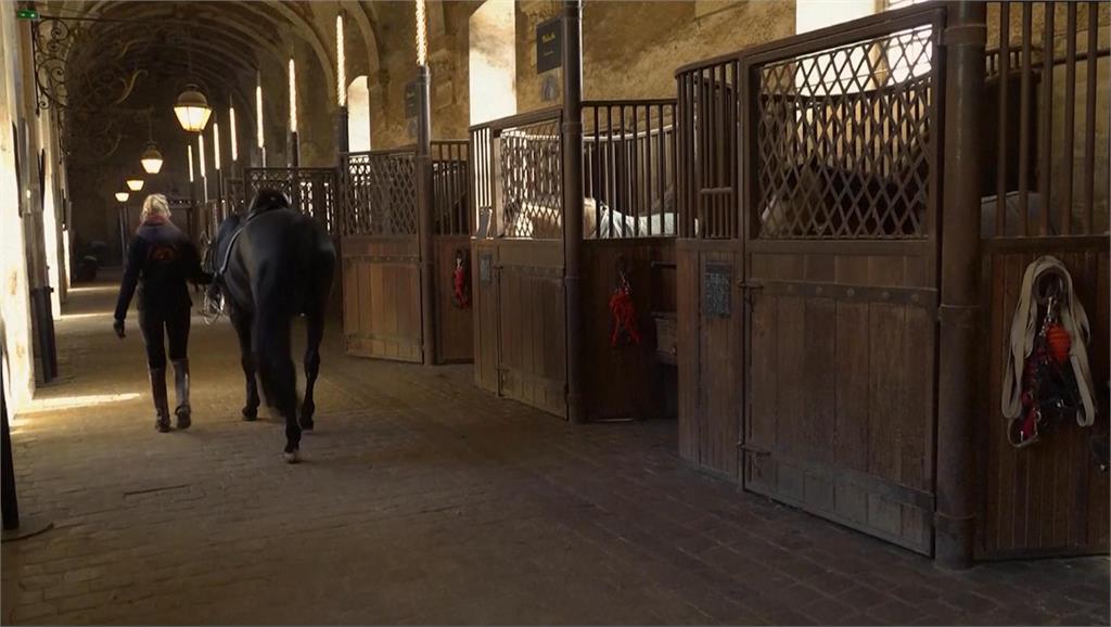 比賽場館結合觀光景點　凡爾賽宮成巴黎奧運馬術舞台