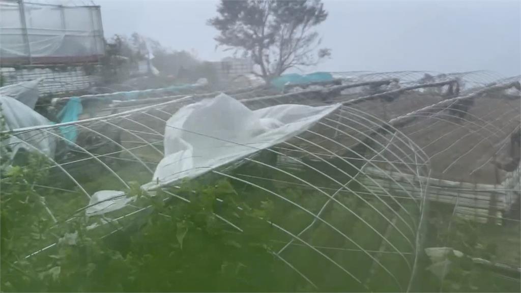 楊柳颱風過境 狂風強襲南投仁愛鄉農損慘重