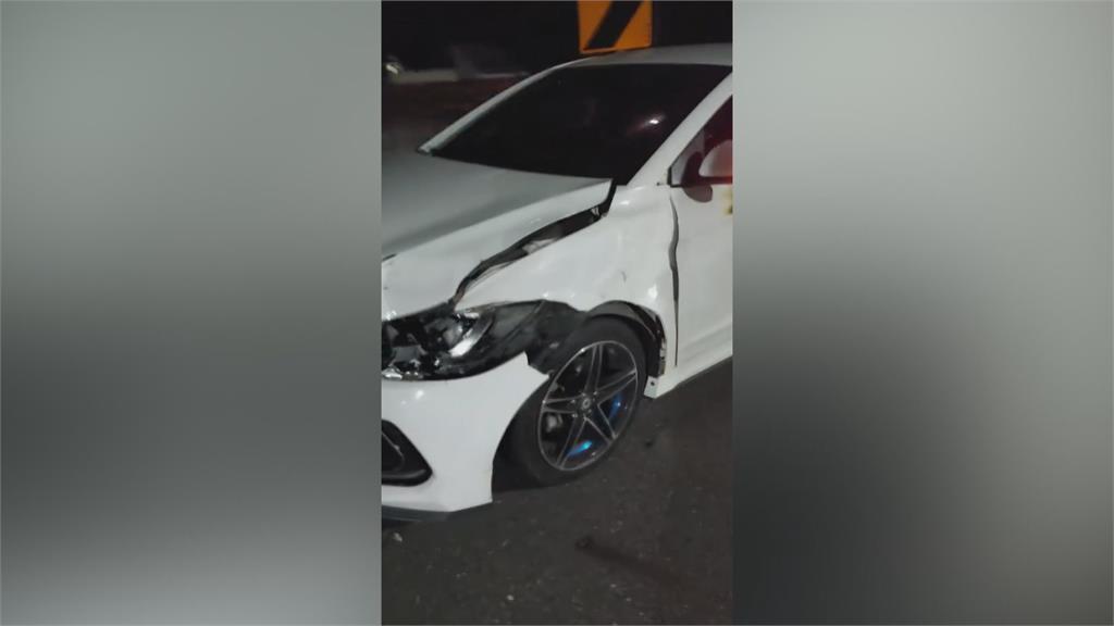 水鹿半夜竄出 轎車撞上安全氣囊瞬間爆開