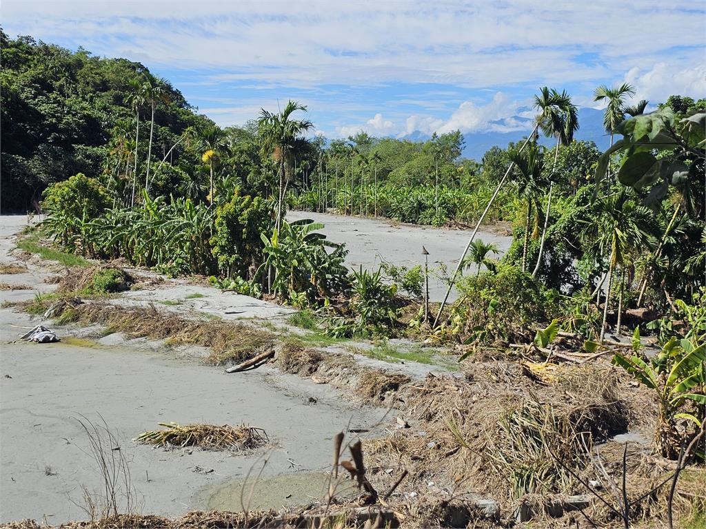 花蓮農改場辦農田技術講習會 指導受災農民改良農地拚復耕