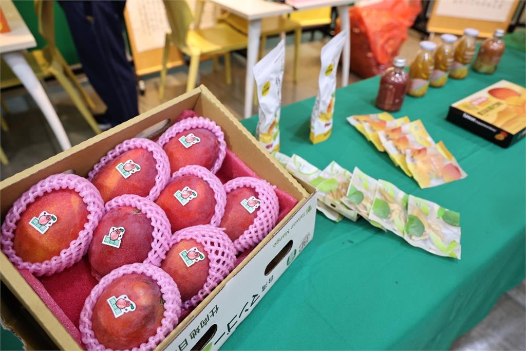 臺南400農漁地景藝術節 連三周末歌舞樂戲連番上演