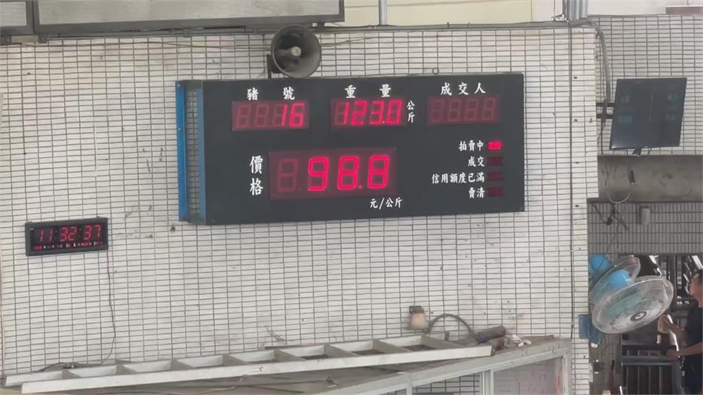 活豬交易重啟!豬隻多養半個月變胖 毛豬到貨量增近5成