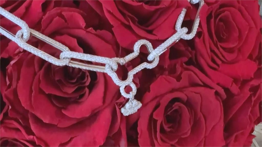 驚豔！狗狗戴鑽石項鍊走秀　寵物精品助流浪動物