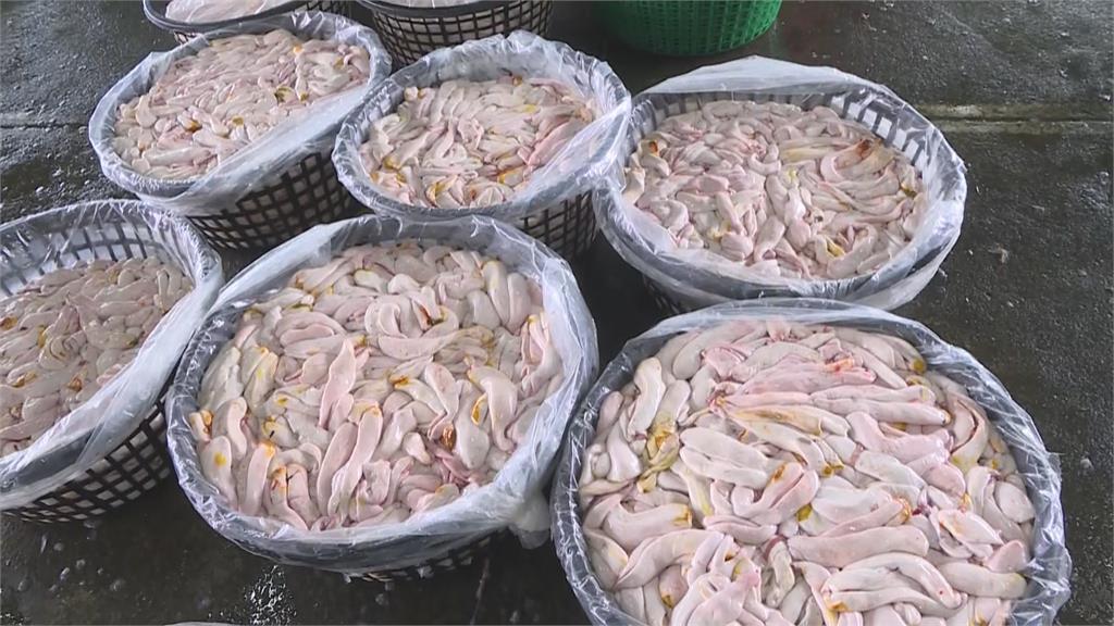 「聯春滿號」捕獲一萬尾烏魚 烏金大豐收!漁民返港滿面笑容