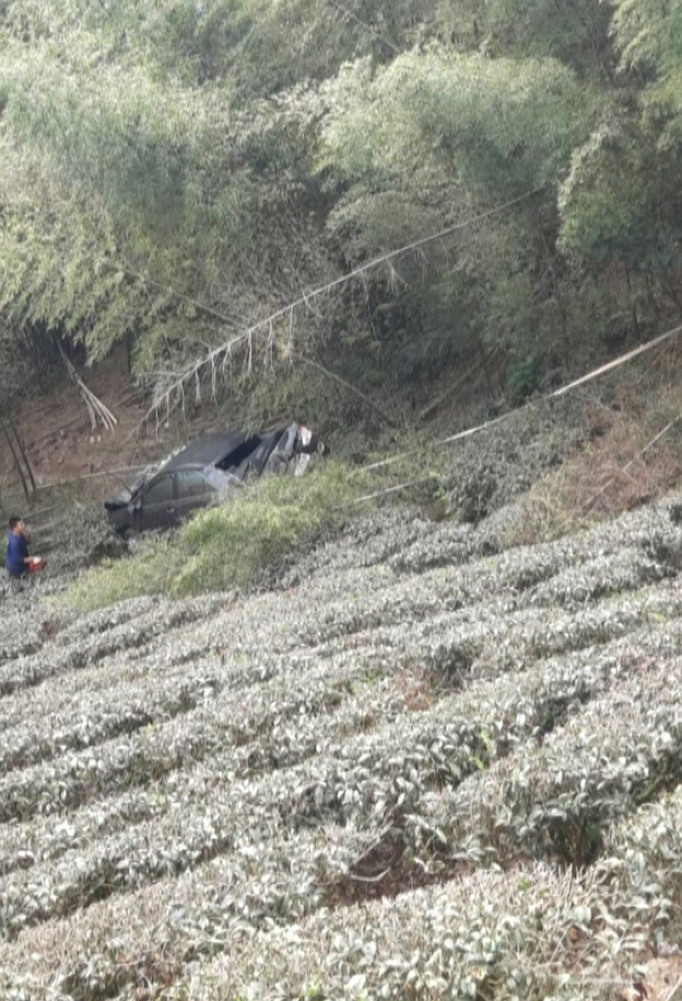 墜谷50公尺深! 交趾陶大師謝東哲 多處骨折"奇蹟生還"