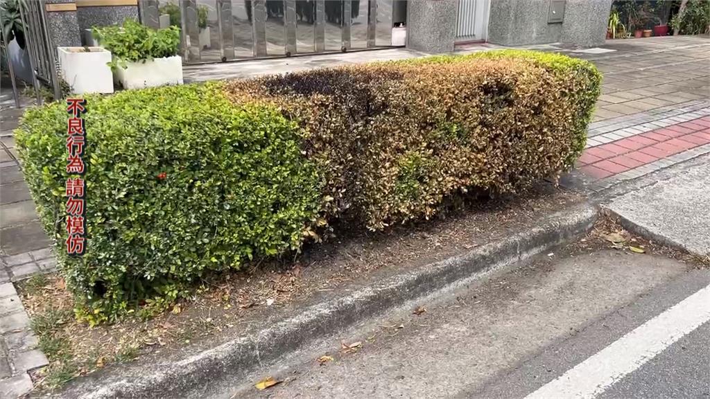 疑酒後心情差! 台中男子人行道花圃縱火逃逸