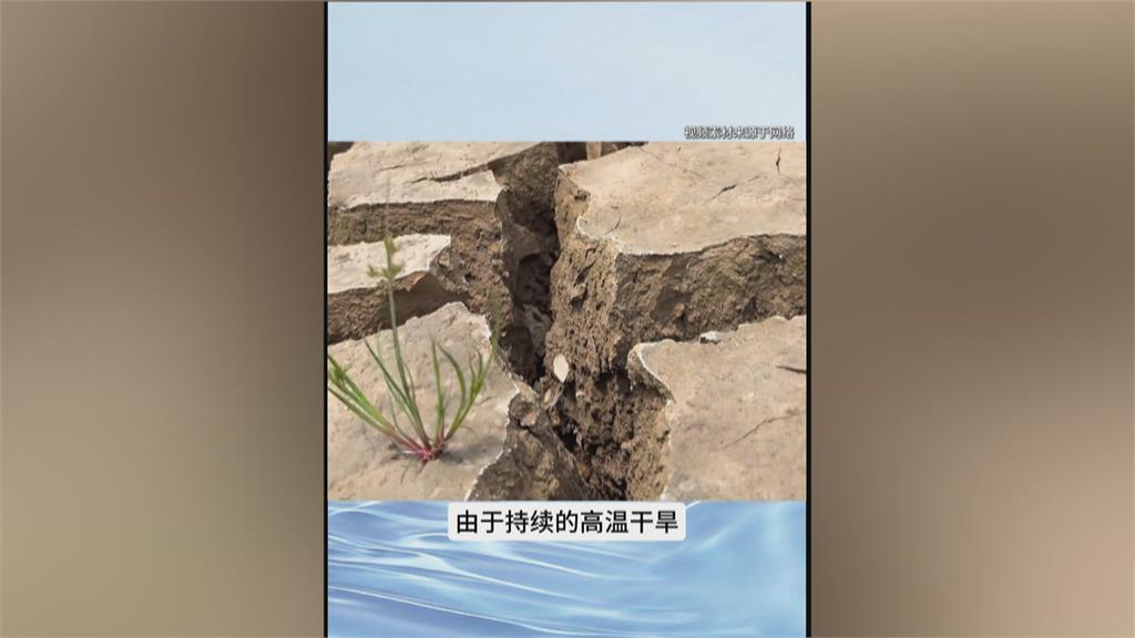 中國又傳臭水!山東自來水變黑 官方公告慘遭網友打臉