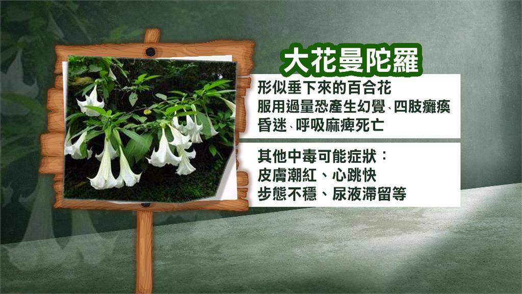 喝下「抗疫符水」大鬧急診室 高雄一家三口都中毒!