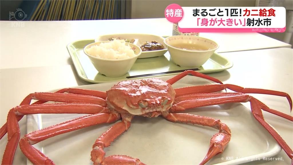 日小學營養午餐驚見「紅松葉蟹」 學生爽嗑「1整隻」嗨翻:肉好大!