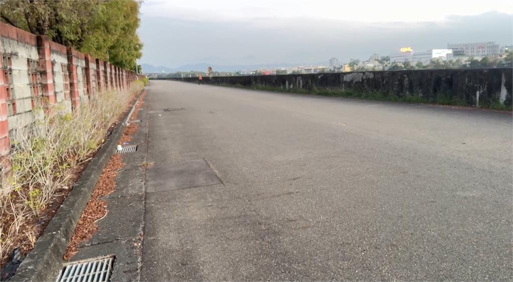 南投綠鬣蜥大街趴趴走　警獲報抓捕上演「你追我跑」