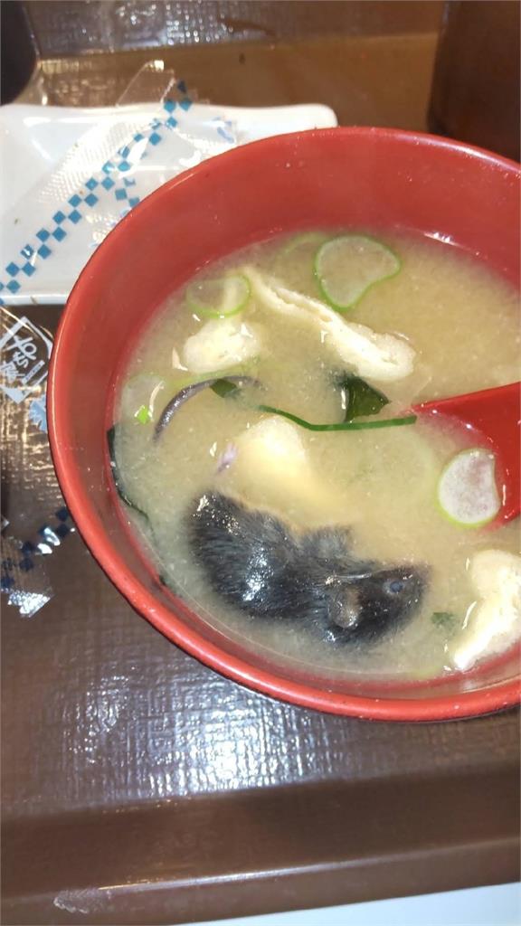 快新聞/有圖慎入!日本Sukiya「味噌湯有死老鼠」 網友看了全傻眼