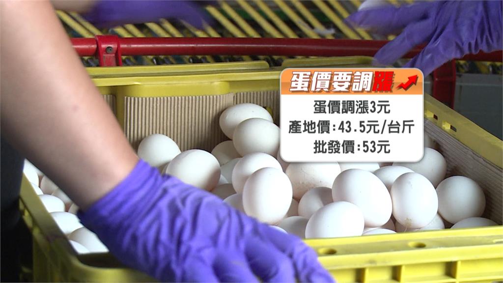 開學了！蛋價週一起漲3元　產地價每斤43.5元、批發價53元