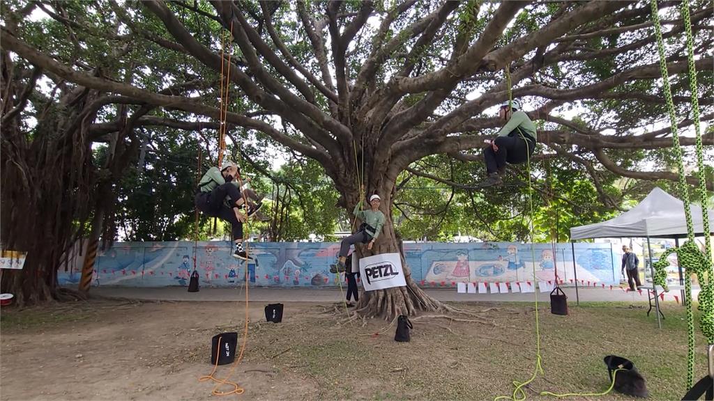 台中公園「攀樹比賽」　9國家50名好手樹上過招
