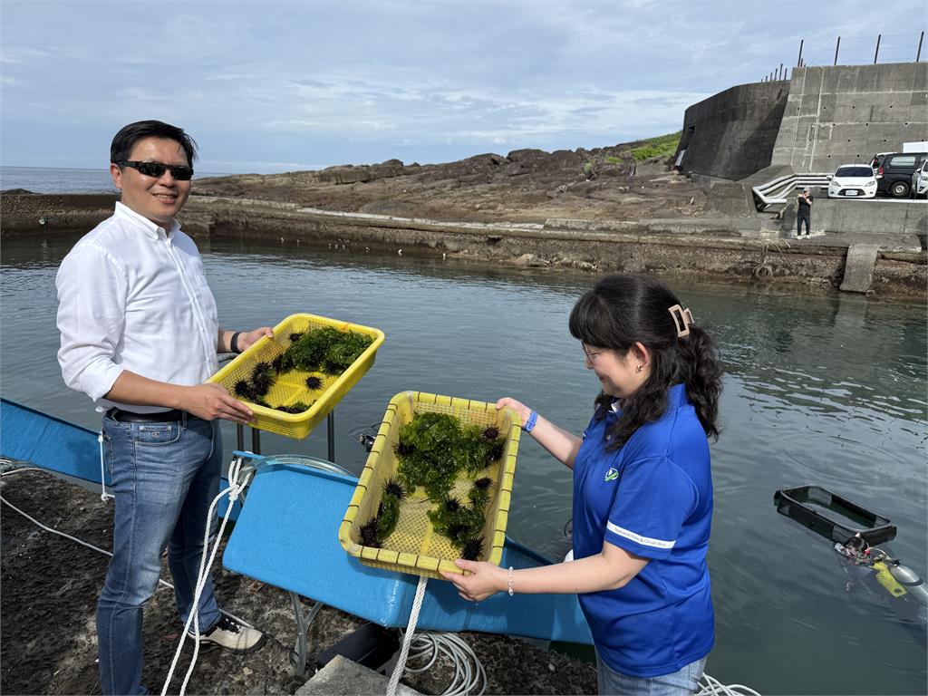 致力海洋永續 新北市府攜手產官學放流海洋生物