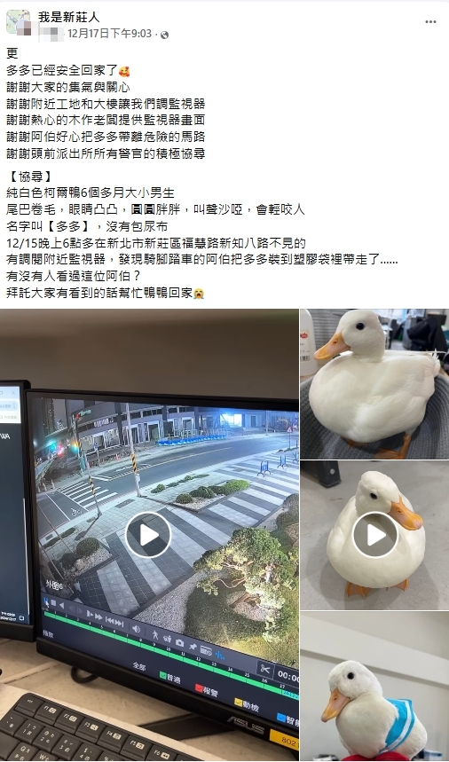 肥嫩小白鴨「被阿北抓走」糟了!尋回「面目全非」網笑:好險沒變薑母鴨