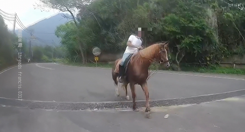 驚險！南庄山區驚見馬匹路上跑　騎士險遭飛踹