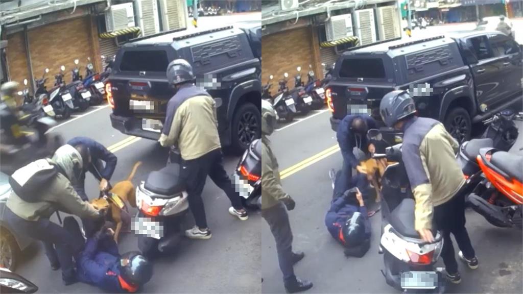 北市又爆「凶猛比特犬襲騎士」疑同一隻!不甩遭鎖喉「發狠撕咬」驚悚畫面曝