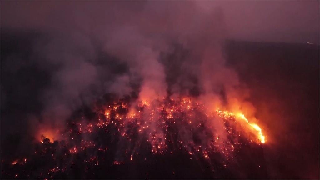 全球二氧化碳濃度創新高 聯合國示警:自1957年最高