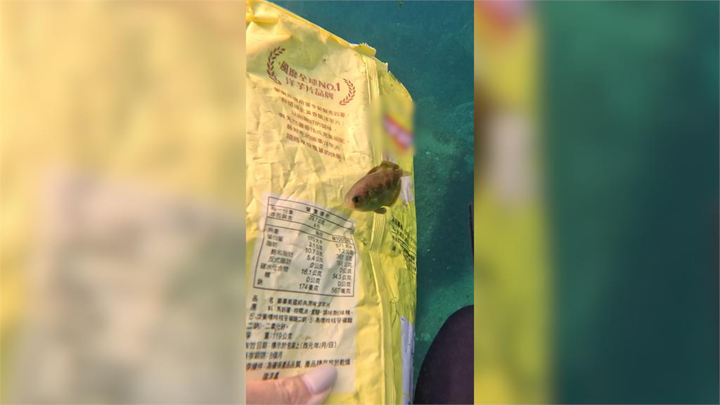 女自潛見零食垃圾 打開驚現迷路幼魚