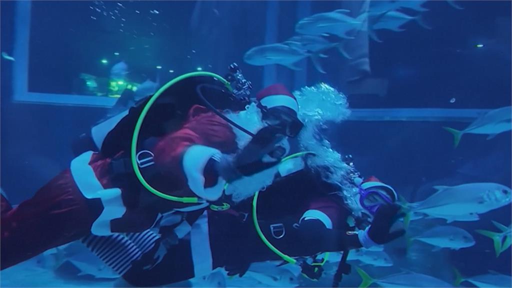 巴西水族館耶誕老人潛水秀　充滿節日氛圍兼具教義意義