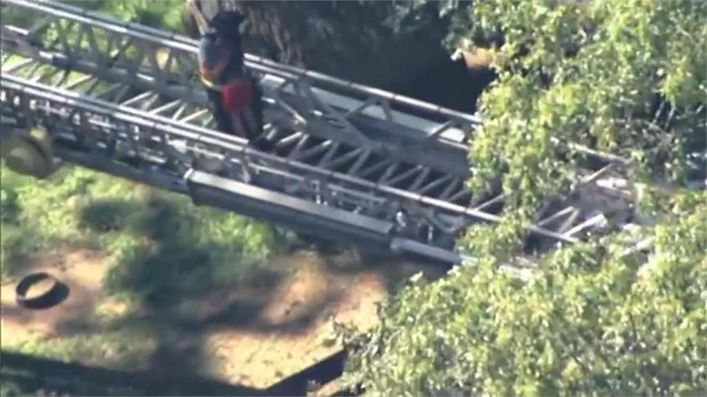 空中驚魂！美國麻州動物園纜車故障　３０人卡半空中、腳懸空