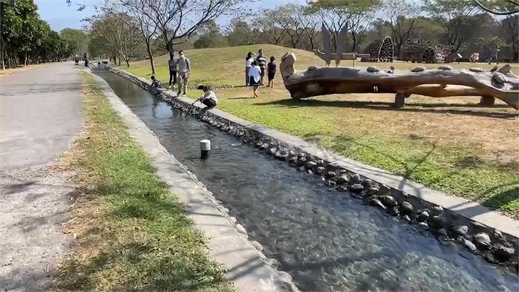 2男童森林園區玩打火機 點燃落葉險釀大火