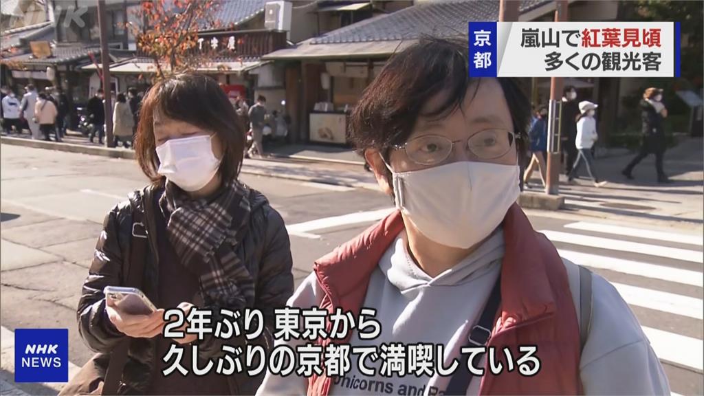 一掃疫情陰霾　日本關西迎楓紅　奈良公園湧踏青人潮