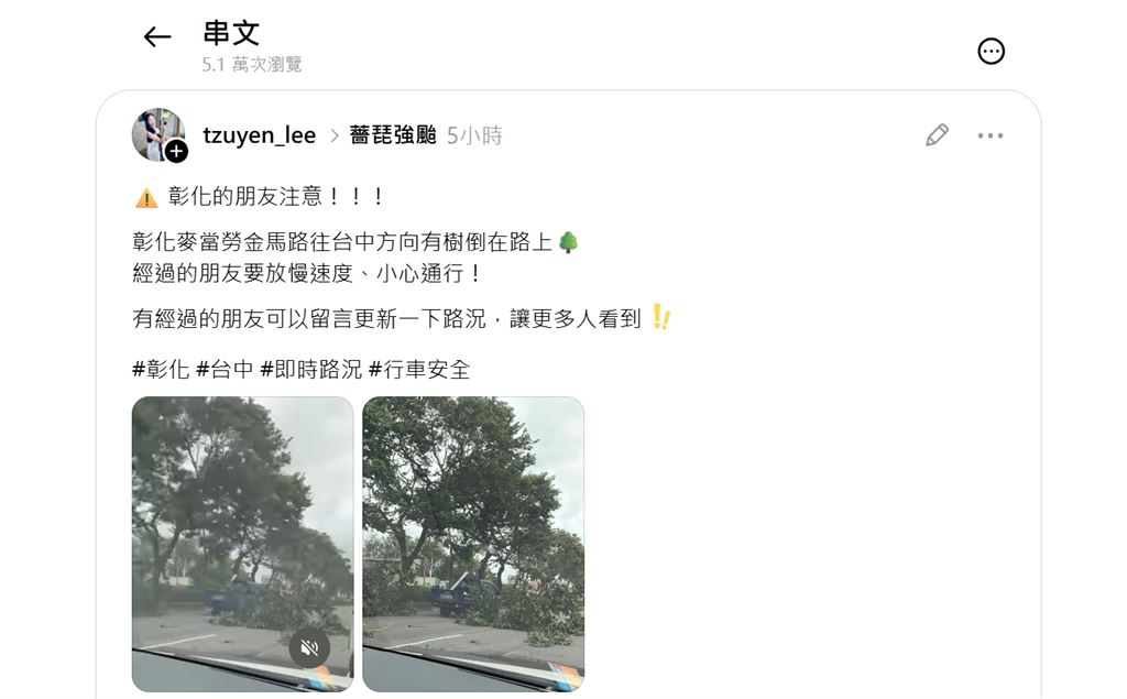 強風吹倒農田網室及巨樹　彰化農民叫苦連天