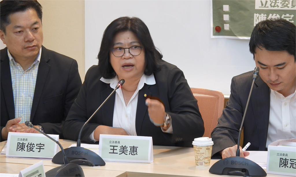 民進黨2026選戰布局拍板!王美惠戰嘉義市 陳瑩選台東縣
