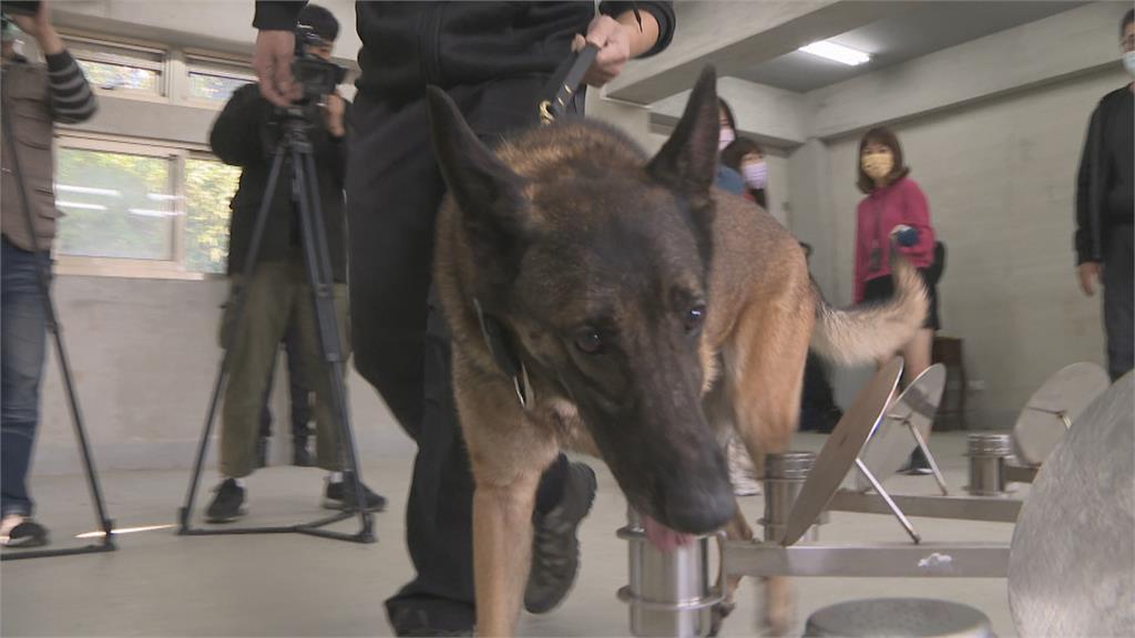 功成身退享清福　新北10隻專業警犬要退休　符合5大條件可認養