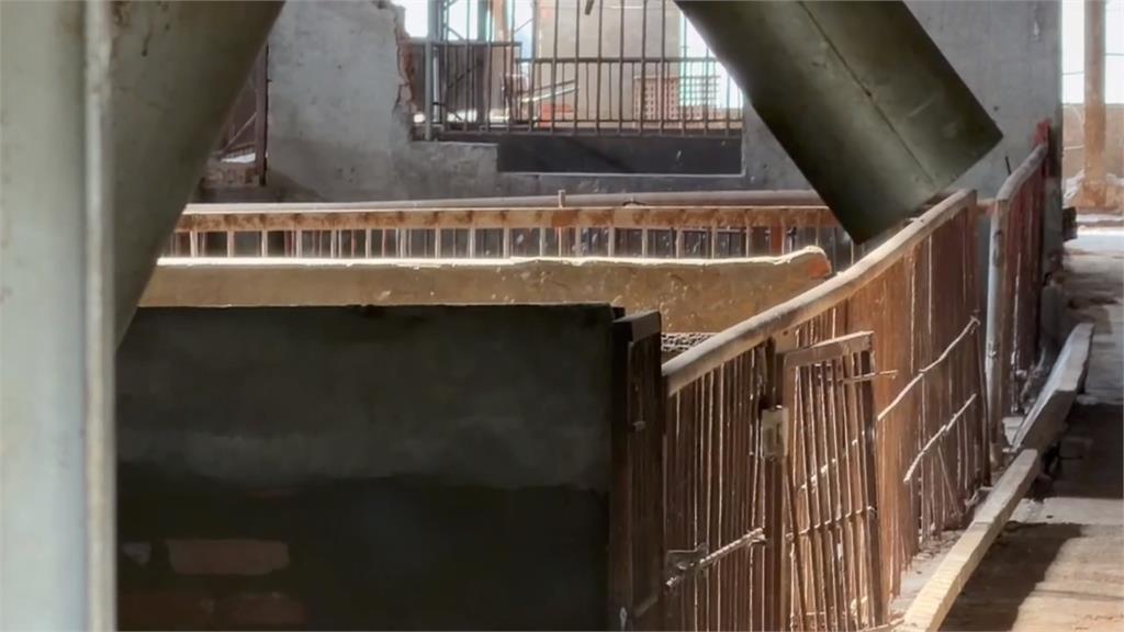 台中非洲豬瘟案起訴　87歲豬農父喊冤：要把我關到死嗎？