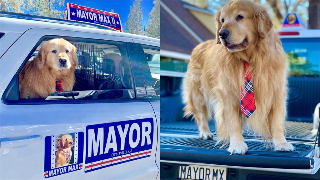 支持度比總統高！鎮長遭爆「賣身上位」官護3代炸裂內幕…無碼撫摸片流出