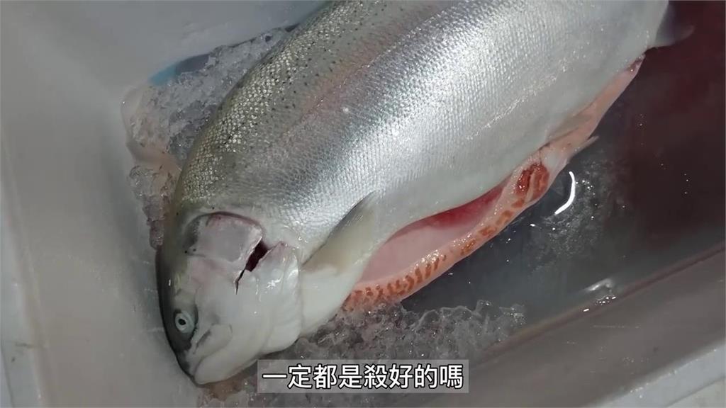 北台灣最大漁市場「崁仔頂」午夜開市　漁獲種類多達人帶路超安心：不怕被騙