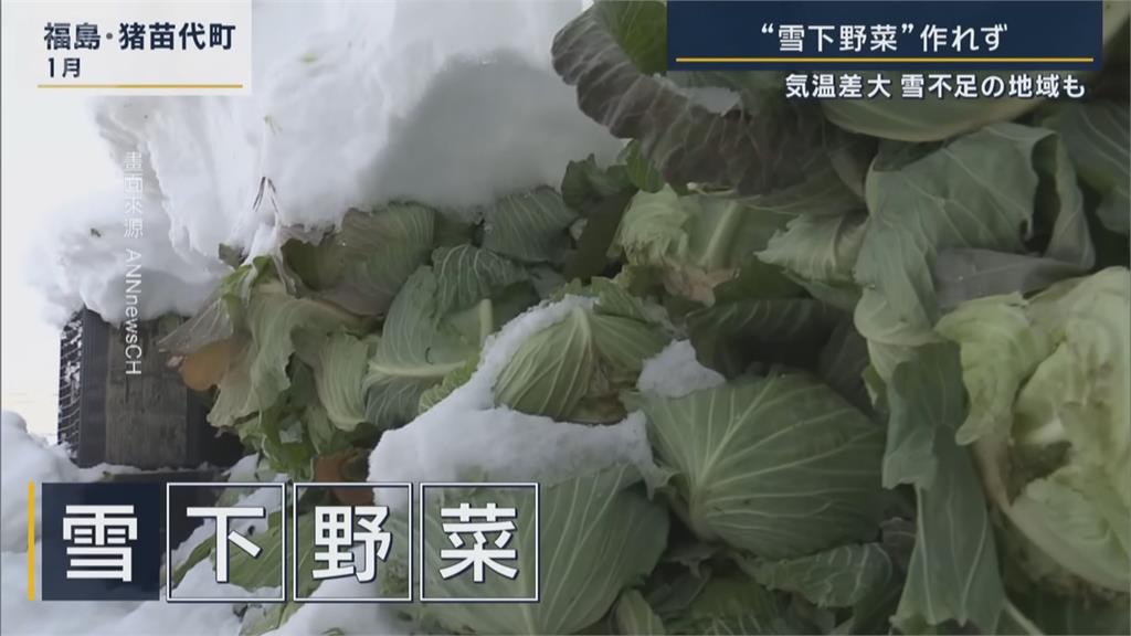 日本冬天太熱! 東北滑雪場「雪熱到融化」延後開放