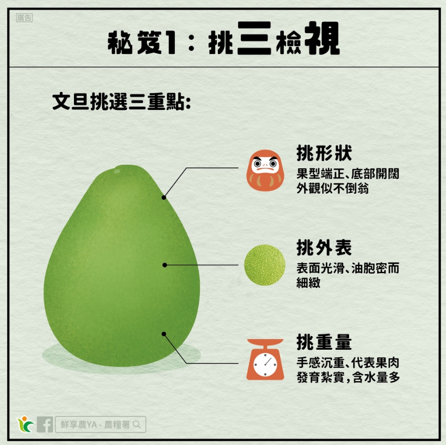 這樣挑最好吃！農糧署一張圖詳解「3大挑柚子秘訣」：形狀像不倒翁最好