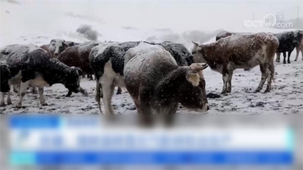 全球／迎入冬最強寒流　中國暴雪吹出缺電危機