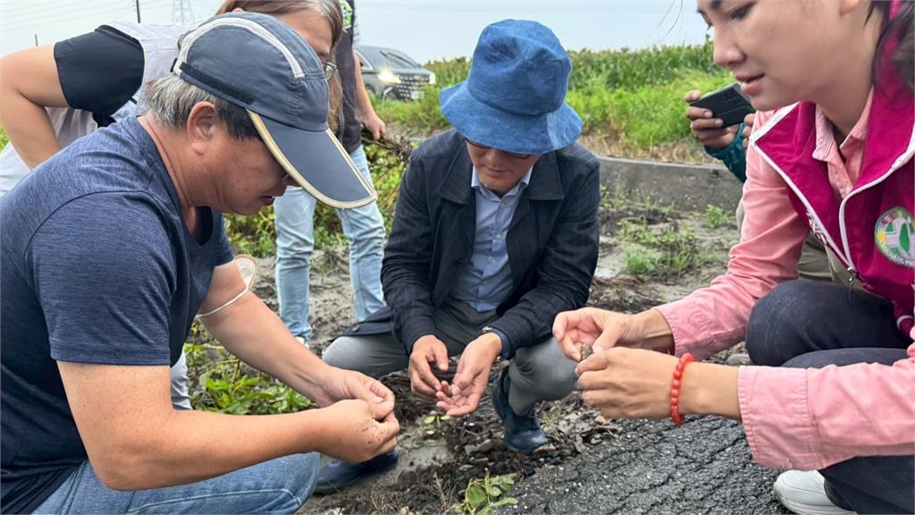 快新聞／劉建國大力爭取！雲林全縣花生災損納入救助　每公頃提高金額曝光