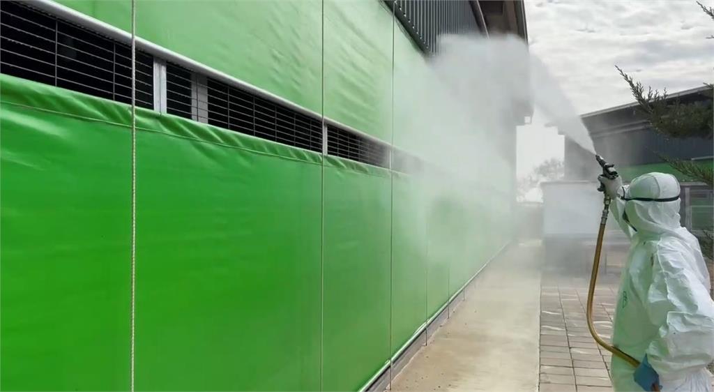 台中豐原某雞場爆禽流感 業者疑隱匿疫情恐遭重罰百萬